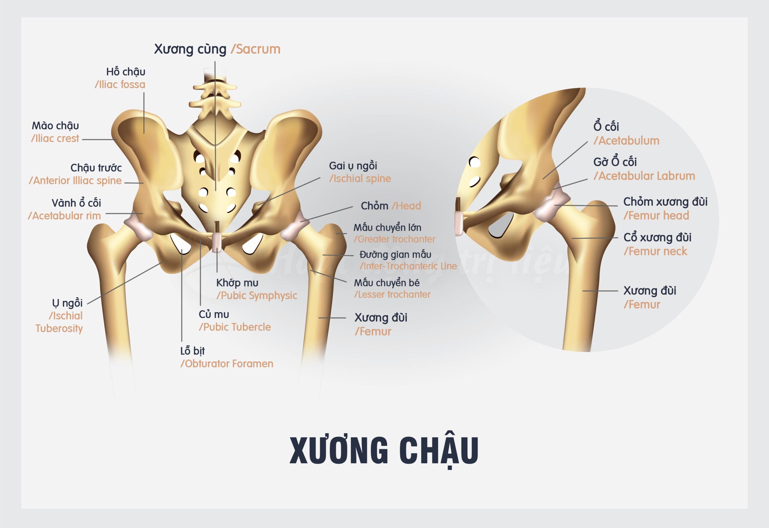 gay-xuong-chau-co-nguy-hiem-khong